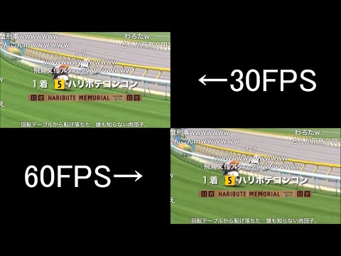 【コメ付き】JAPAN WORLD CUP 3 〜第3レースー4〜 (30FPS 60FPS比較)