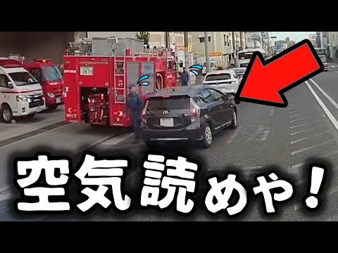 【ドラレコ】空気が読めない女性ドライバー／仰天映像：高速道路に犬が、次の瞬間／右折専用レーンから突如左折するDQN