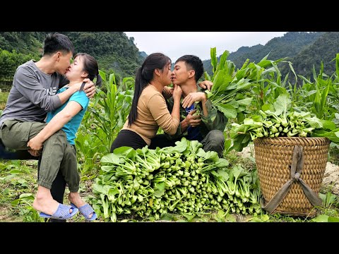 Linh and Dan harvest bok choy together to sell | Linh's Life