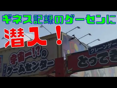 【宇宙一】エブリデイとってき屋で景品沢山とってきた！の巻 クレーンゲーム動画