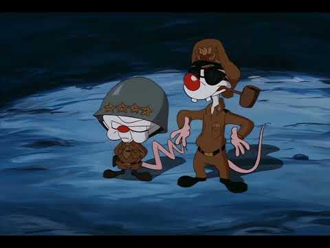 Pinky and the Brain - Surprise Surprise Surprise