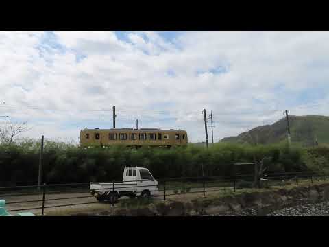 【井原鉄道アート列車と満開の桜】✨