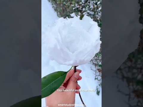 Snow rose ❄️🌹|how to make snow rose #shorts #short #viral #trending #trendingshort ,