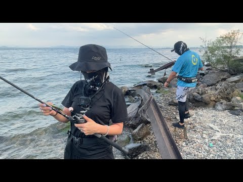 琵琶湖北湖西岸のバス釣り