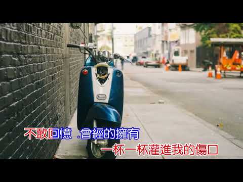 李英 泪水酿成相思酒 (KTV)