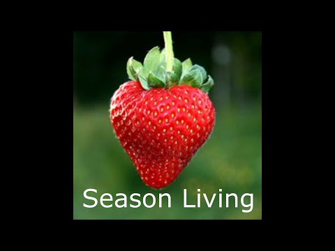 Easy Planting Of Bare Root strawberry's  Planting A Strawberry Bag  Gardening On The Deck