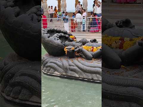 swarnagiri temple #swarnagiritemple#ytshortsvideo