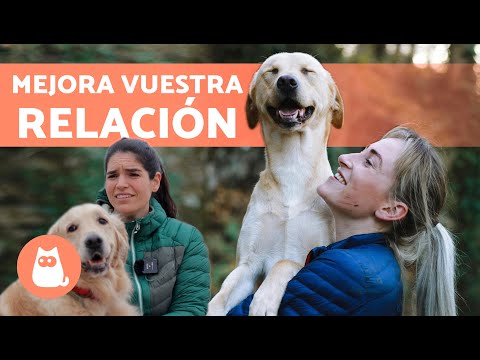 Cómo CREAR un BUEN VÍNCULO con tu PERRO 🐶🧍🏻‍♀️ | 7 Consejos de una Educadora Canina ✅