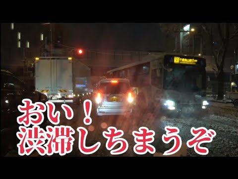 【東京都心大雪】