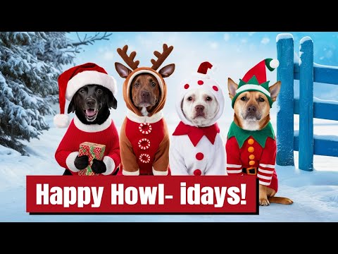 Happy Howl-idays ! Adorable Dogs Celebrate Christmas!