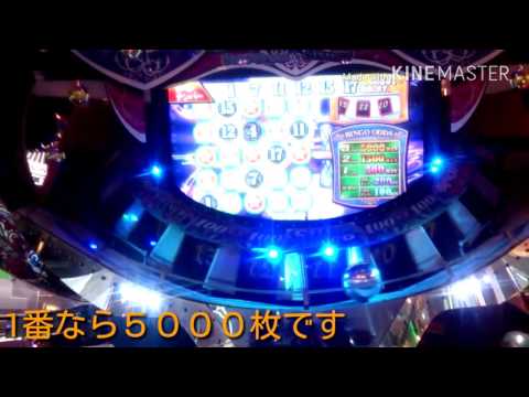 BIG BINGO 5000win 獲得なるか...