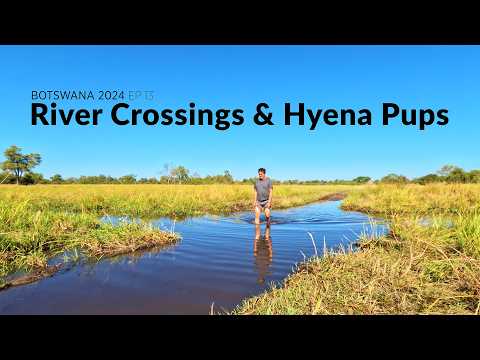 River Crossings & Hyena Pups in Khwai - Botswana 2024 Wildlife Filmmaking BTS Ep 13