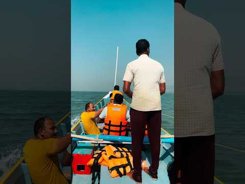 Dolphins at Dapoli Murud Beach