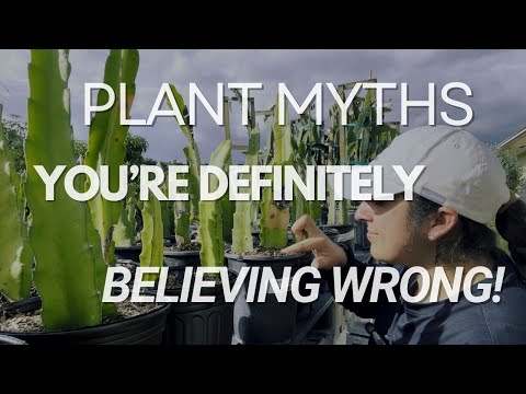 Debunking Plant Care Myths! 🌱💡