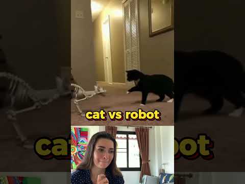 cat vs robot  | part 53 #viral #fails #funny #humor #comedy