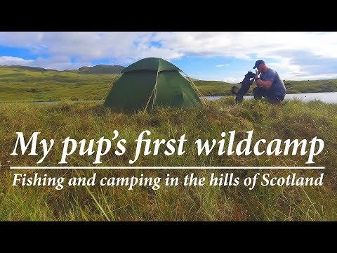 My pup's first wild camp - camping and fishing in the hills of Scotland