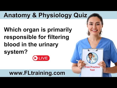 Anatomy and Physiology Quiz 🧠🫀🦴 | CNA, PCT, MA & Nursing Students