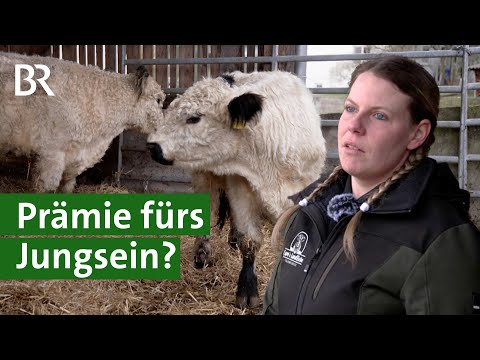 Junglandwirteprämie: Warum es sie gibt und was man erfüllen muss | Unser Land | BR