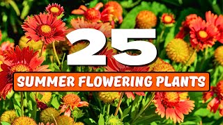 🌞 Top 25 Best SUMMER Flowering Plants 💖 MUST HAVE SUMMER BLOOMS! ✨