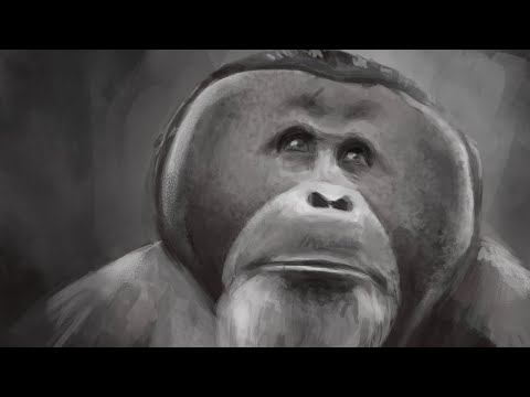 Digital painting for International Orangutan Day