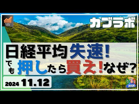 【カブラボ】11/12 日経平均 失速！ でも押したら買え！ その理由を解説します！