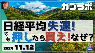 【カブラボ】11/12 日経平均 失速！ でも押したら買え！ その理由を解説します！