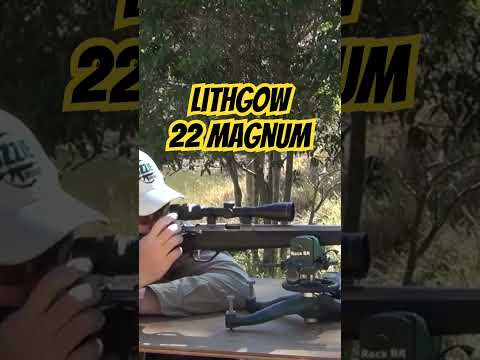 Lithgow LA101 22 Magnum #ozziereviews #22caliber #22longrifle #22mag #lithgow #22wmr #22lr #17hmr