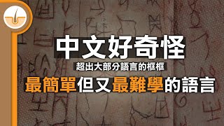 為何中文同時是最容易但又最難學的語言 (繁中字幕)