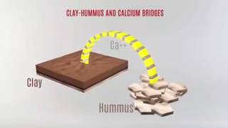 Humic and Fulvic acids