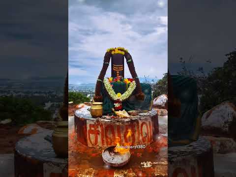 ஓம் நமசிவாய #shiva #tamil #sivan_whatsapp_status_tamil #sivan #2024 #tiruvannamalai