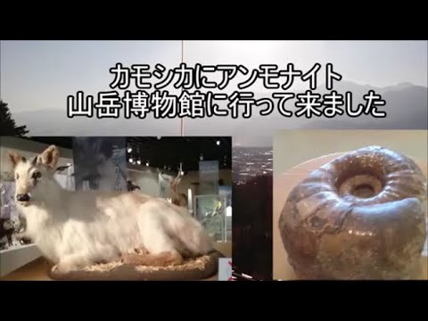 山岳博物館3階と2階