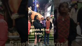 lal market ,M G road best for shopping in gangtok #shorts #youtubeshorts #