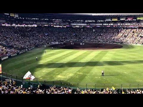 2017/05/07 阪神タイガース 甲子園 あと一人からの勝利