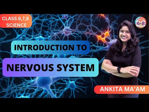 Introduction to the Nervous System | Class 6,7,8 | Science