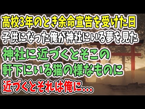 【不思議な話】オレ、子どものころに変な動物と遊んでいた記憶があるんだよな…。高校3年のとき余命宣告を受けた日にふと思い出したできごととは…【朗読】【感動】