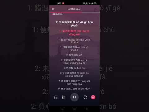 Võng nhiên ký - Hà Đồ || 惘然记 [河图] Karaoke Pinyin