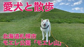 秋田犬と散歩 / モエレ山 - 札幌市モエレ沼公園