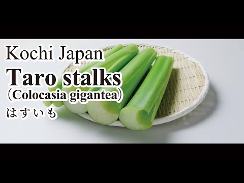 Taro stalks