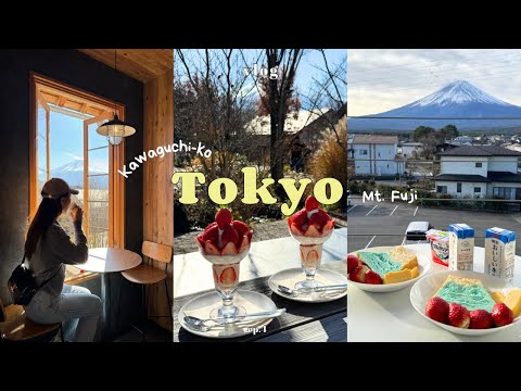 東京VLOG｜富士山.河口湖三天自駕遊🇯🇵｜富士山美景民宿+飯店開箱｜河口湖紅葉迴廊🍁｜大石公園必吃草莓帕菲 Tokyo Vlog ep.4