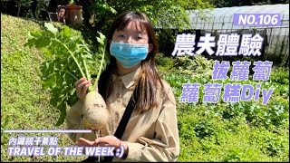 內湖景點｜親子旅遊｜野草花果有機農場｜拔蘿蔔￼￼體驗￼｜￼蘿蔔糕DIY￼｜控窯｜才草莓￼￼￼｜團體場地￼￼￼￼｜馬丁￼農夫