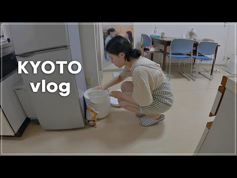 [일본 vlog] 교토 일상 / 삼시세끼 / 킨쇼 / 캔두 / 장보기 / 혼맥 / 국그릇 깬 사연 / 일본에서 사는 한국 부부 / 20대 주부