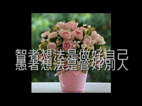 【奧麗佛身心靈成長開發中心】奧麗佛語錄  20171116