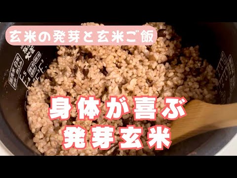 【玄米の発芽と玄米ご飯】身体が喜ぶ発芽玄米。