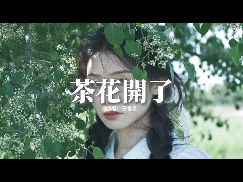 王睿卓 - 茶花開了『外婆啊 我夢見 你說我，說我在外頭要好好吃飯，外婆啊 我知道 想我了，我會回去陪你去採茶。』【動態歌詞MV】