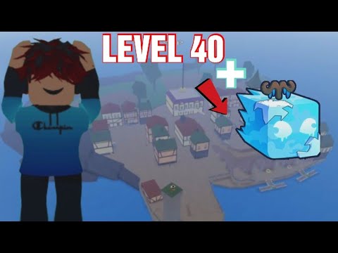 LEVEL 40 + FRUTA ICE no BLOX FRUITS!!!