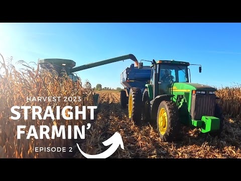 Harvest Day 2 - Straight Farmin'