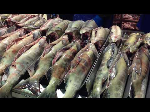 C50【9アラスカ買付調査記録2016】 TSUKIJI FISH MARKET Inc  by 市場系youtuber疋田拓也Takuya Hikita～US Alaska～