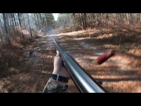 SC Deer Dog Drives 12/27-29/21: Hunts after Christmas (Many kills on cam!)