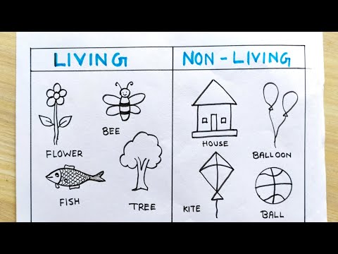 Non-living things drawing  | Simple living things drawing | How to draw living and non-living things