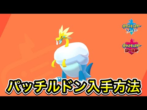 【ポケモン剣盾】パッチルドンの入手方法